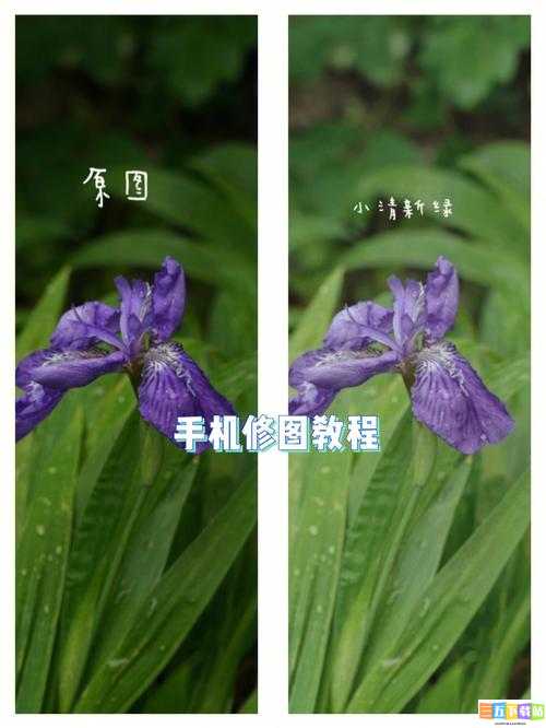 snapseed无损导出教程