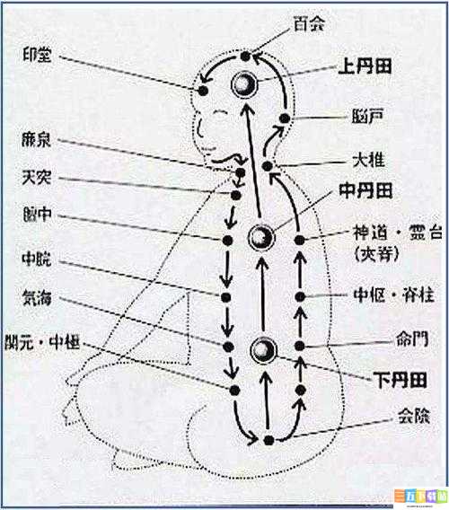 《伊甸之战：陆战队员荣耀之旅的卡牌解读》