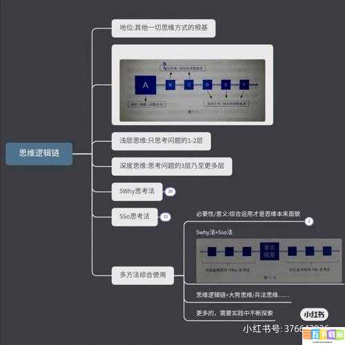 超级肉禽系统情节分析：深度解读与探究