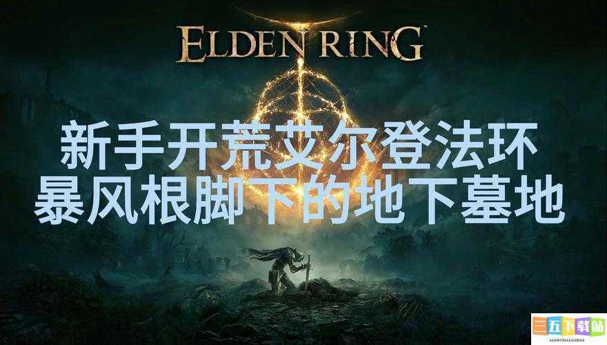 艾尔登法环：新手教程全攻略，轻松上手 Elden Ring