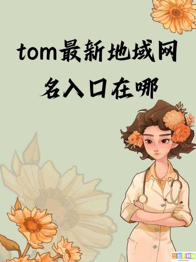 Tom 地域网名入口在线：便捷通道开启